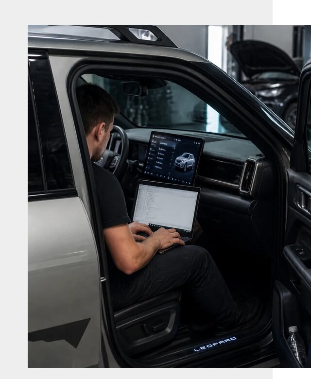 Русификация BYD Leopard 3 в Ялуторовске по цене от 20555 р. | ФастМобиль-Лтр